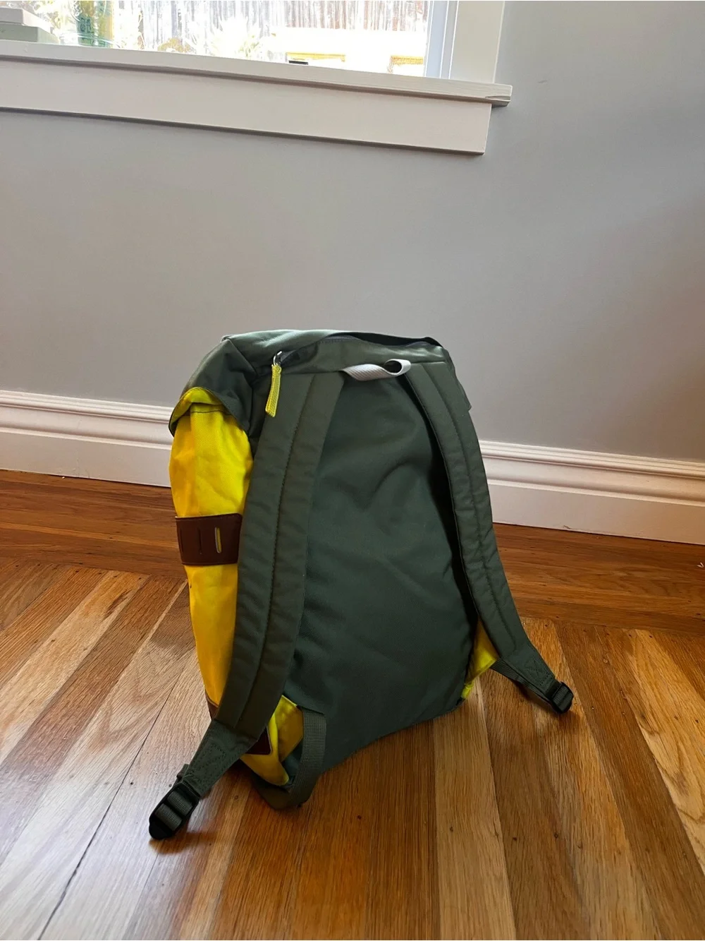 Patagonia Green Daypack Bonsai 14L